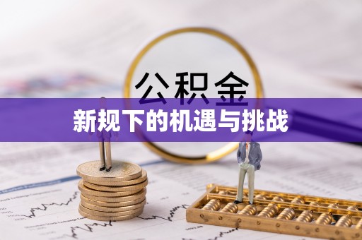 白云新规下的机遇与挑战