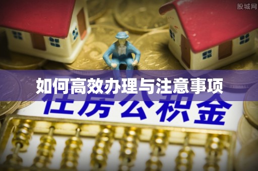 白云如何高效办理与注意事项