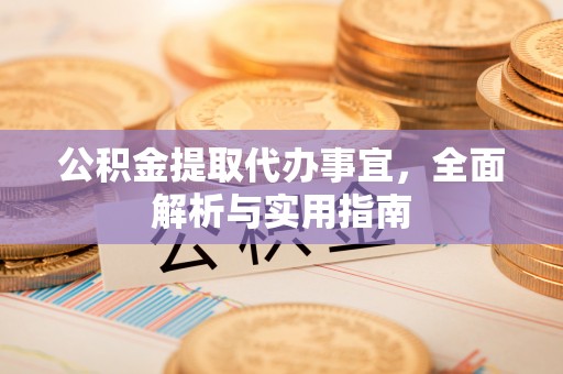 白云公积金提取代办事宜，全面解析与实用指南