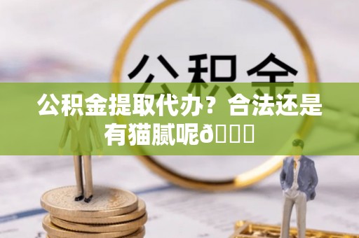 白云公积金提取代办？合法还是有猫腻呢😏