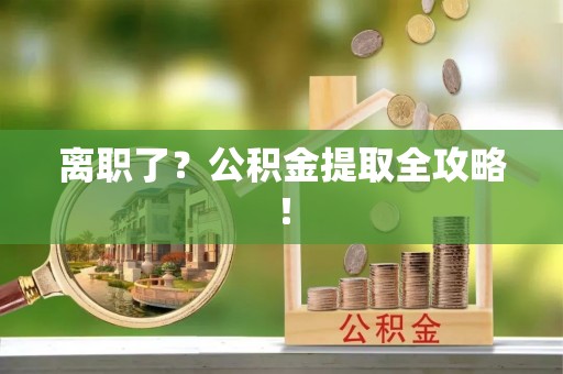 白云离职了？公积金提取全攻略！