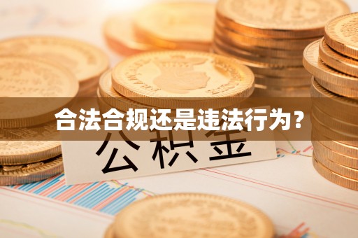白云合法合规还是违法行为？
